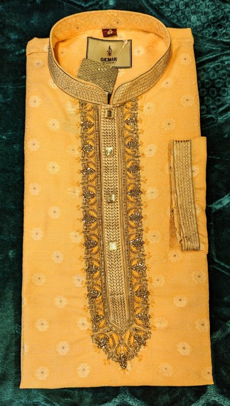 Wedding party panjabi